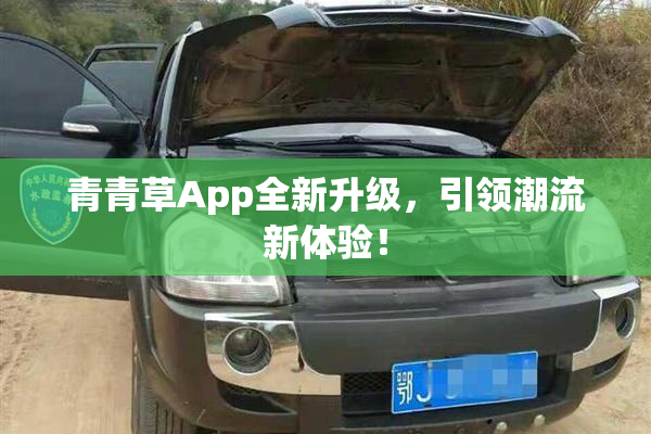 青青草App全新升级，引领潮流新体验！