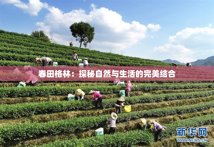 春田格林：探秘自然与生活的完美结合