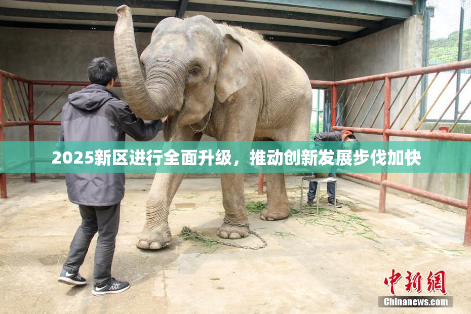 2025新区进行全面升级，推动创新发展步伐加快