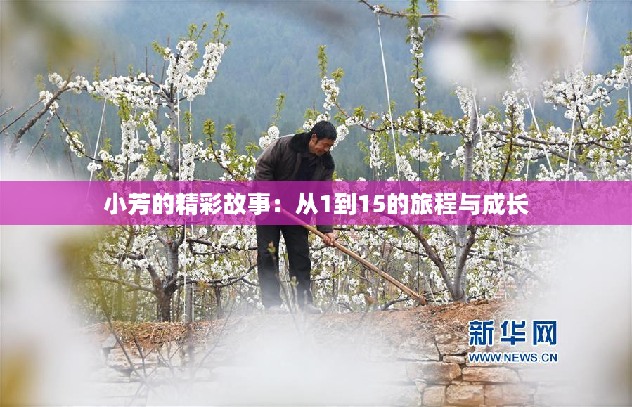 小芳的精彩故事：从1到15的旅程与成长