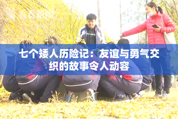 七个矮人历险记：友谊与勇气交织的故事令人动容