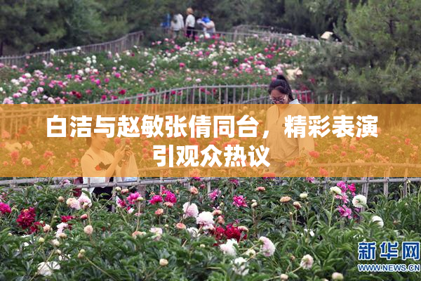 白洁与赵敏张倩同台，精彩表演引观众热议