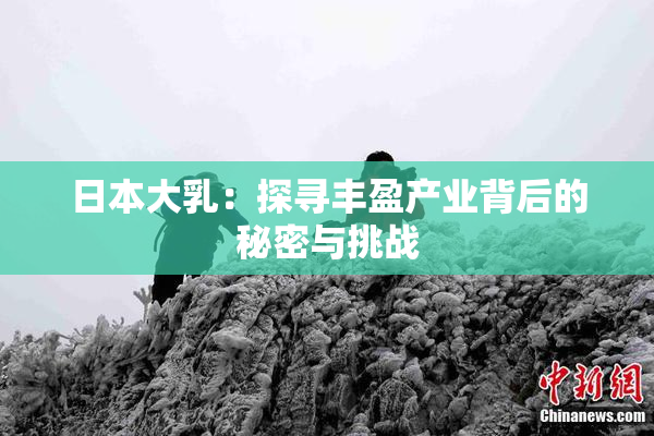 日本大乳：探寻丰盈产业背后的秘密与挑战