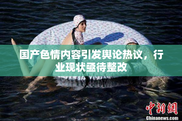 国产色情内容引发舆论热议，行业现状亟待整改