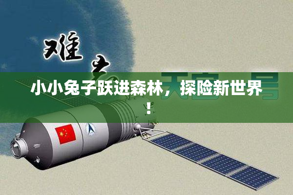 小小兔子跃进森林，探险新世界！