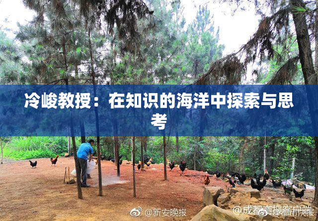 冷峻教授：在知识的海洋中探索与思考