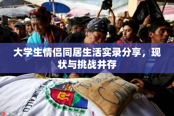 大学生情侣同居生活实录分享，现状与挑战并存