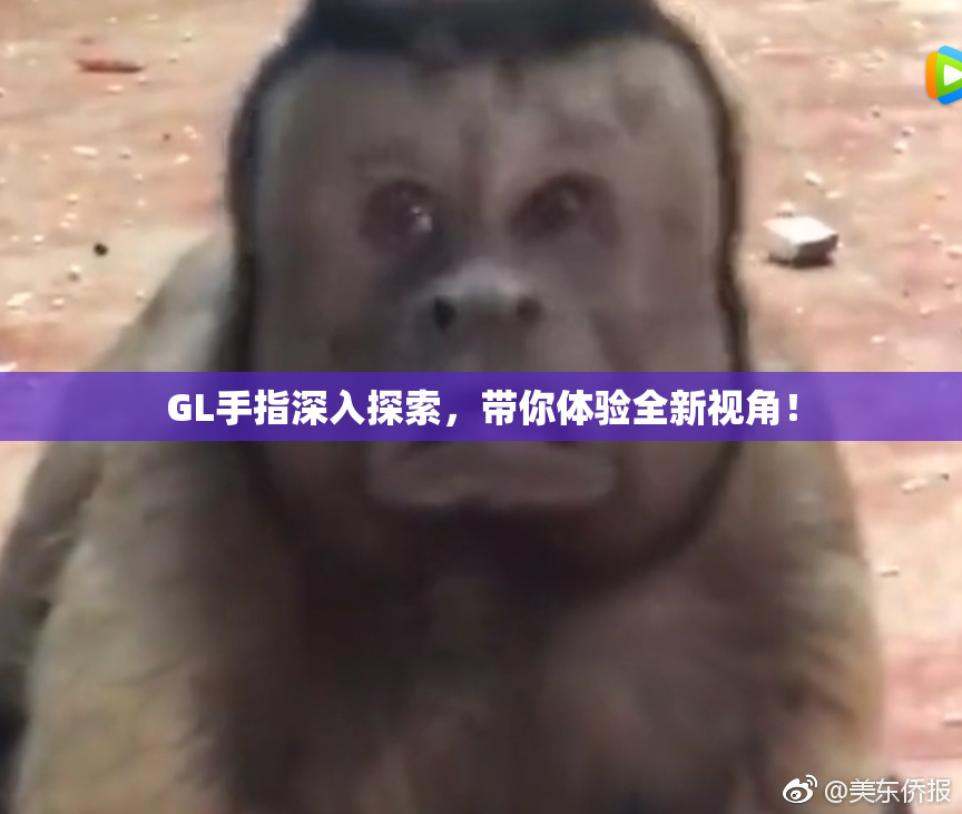 GL手指深入探索，带你体验全新视角！