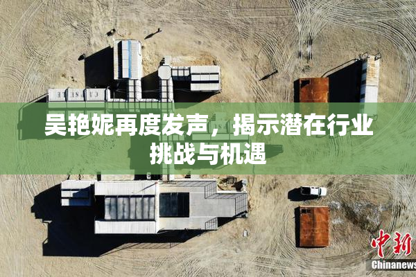 吴艳妮再度发声，揭示潜在行业挑战与机遇