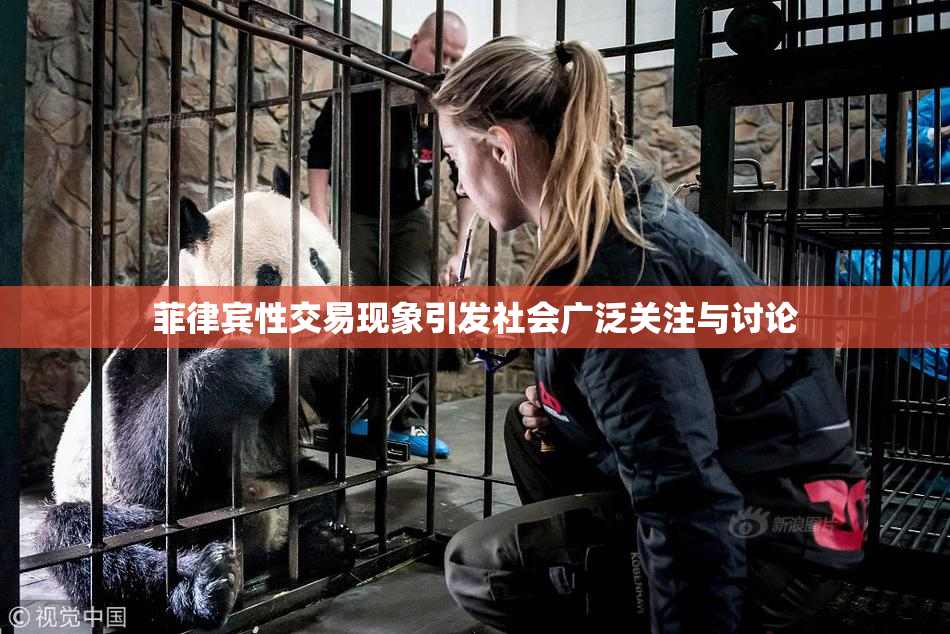 菲律宾性交易现象引发社会广泛关注与讨论