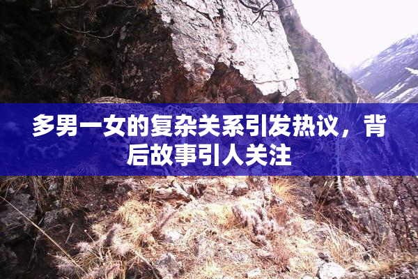 多男一女的复杂关系引发热议，背后故事引人关注