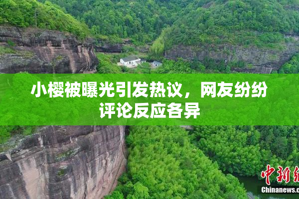 小樱被曝光引发热议，网友纷纷评论反应各异
