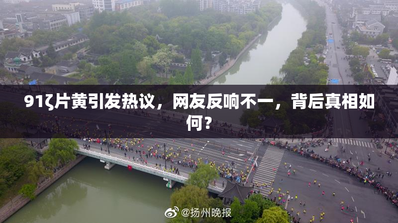91ζ片黄引发热议，网友反响不一，背后真相如何？