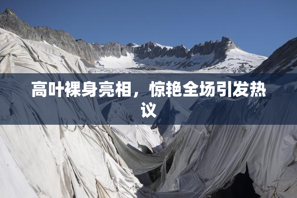 高叶裸身亮相，惊艳全场引发热议