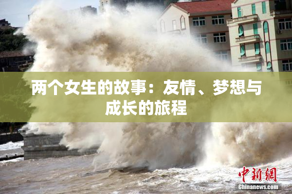两个女生的故事：友情、梦想与成长的旅程
