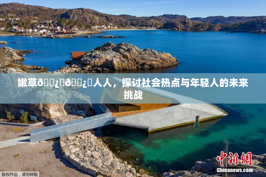 嫩草🌿‌🌿‌人人，探讨社会热点与年轻人的未来挑战