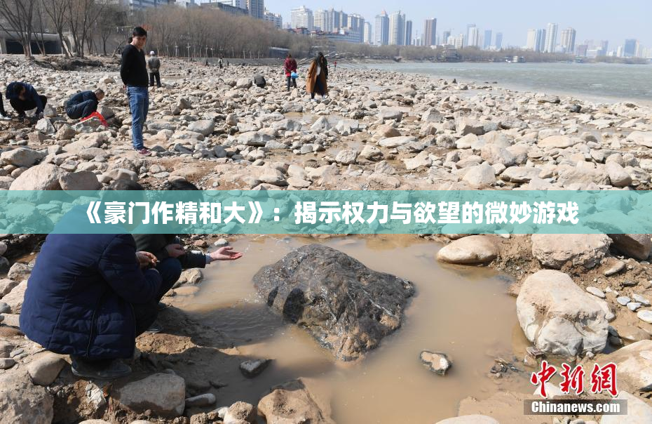 《豪门作精和大》：揭示权力与欲望的微妙游戏