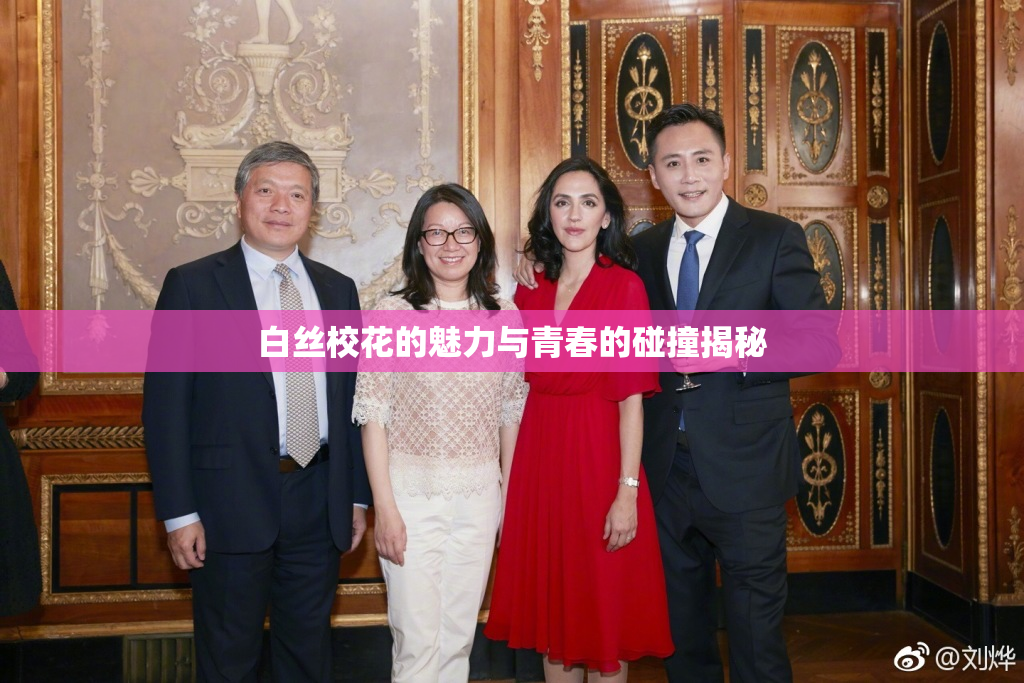 白丝校花的魅力与青春的碰撞揭秘