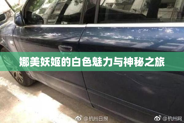 娜美妖姬的白色魅力与神秘之旅