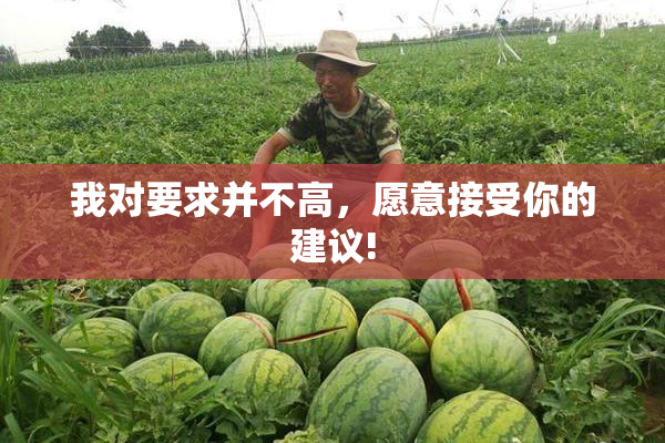 我对要求并不高，愿意接受你的建议!
