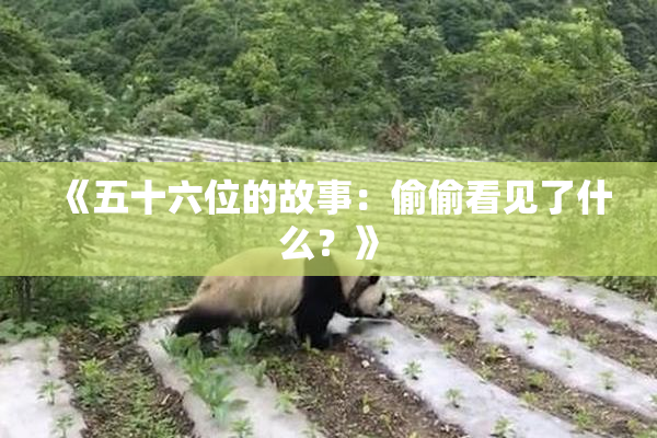 《五十六位的故事：偷偷看见了什么？》