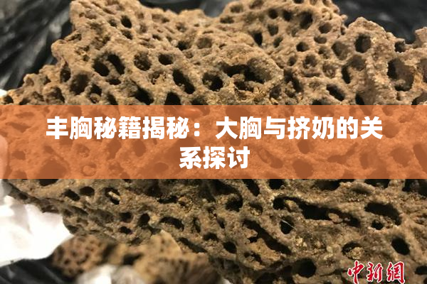 丰胸秘籍揭秘：大胸与挤奶的关系探讨