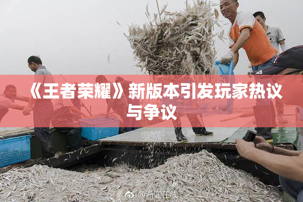 《王者荣耀》新版本引发玩家热议与争议