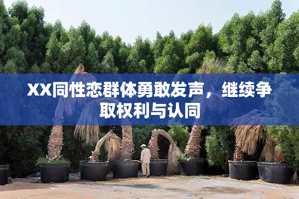 XX同性恋群体勇敢发声，继续争取权利与认同