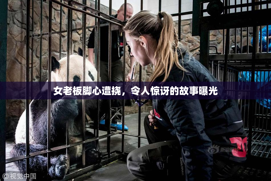 女老板脚心遭挠，令人惊讶的故事曝光