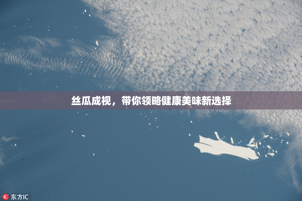 丝瓜成视，带你领略健康美味新选择