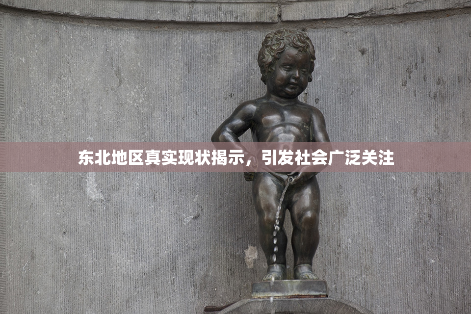 东北地区真实现状揭示，引发社会广泛关注