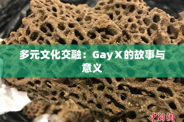 多元文化交融：GayⅩ的故事与意义