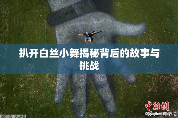 扒开白丝小舞揭秘背后的故事与挑战