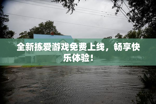 全新拣爱游戏免费上线，畅享快乐体验！