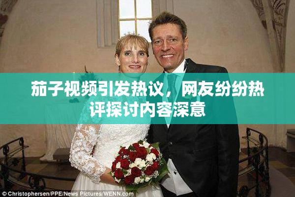 茄子视频引发热议，网友纷纷热评探讨内容深意