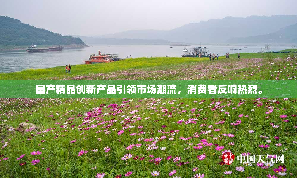 国产精品创新产品引领市场潮流，消费者反响热烈。