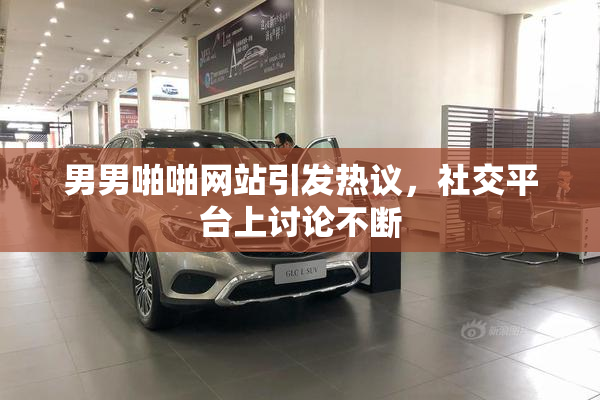 男男啪啪网站引发热议，社交平台上讨论不断