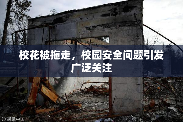 校花被拖走，校园安全问题引发广泛关注