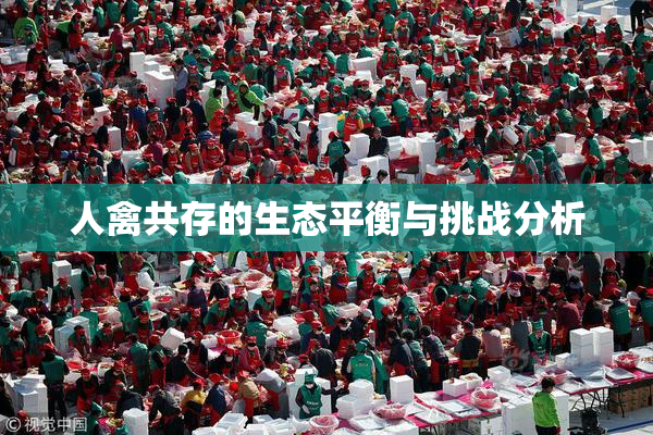 人禽共存的生态平衡与挑战分析