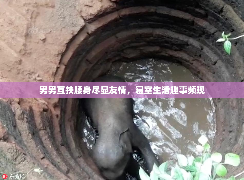 男男互扶腰身尽显友情，寝室生活趣事频现