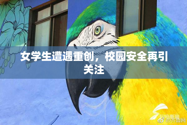 女学生遭遇重创，校园安全再引关注