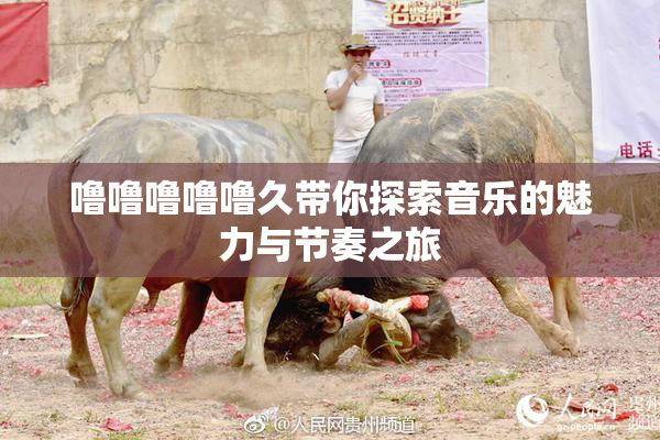 噜噜噜噜噜久带你探索音乐的魅力与节奏之旅