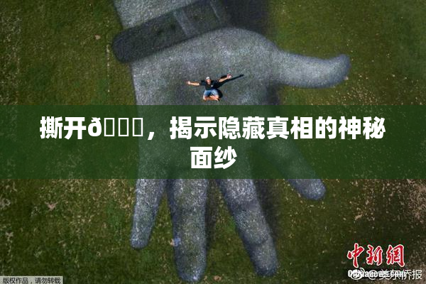 撕开👙，揭示隐藏真相的神秘面纱