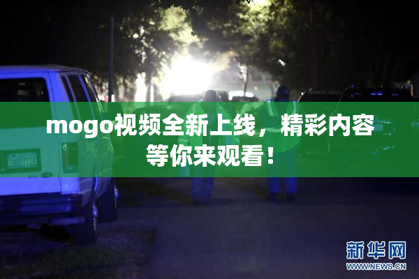 mogo视频全新上线，精彩内容等你来观看！