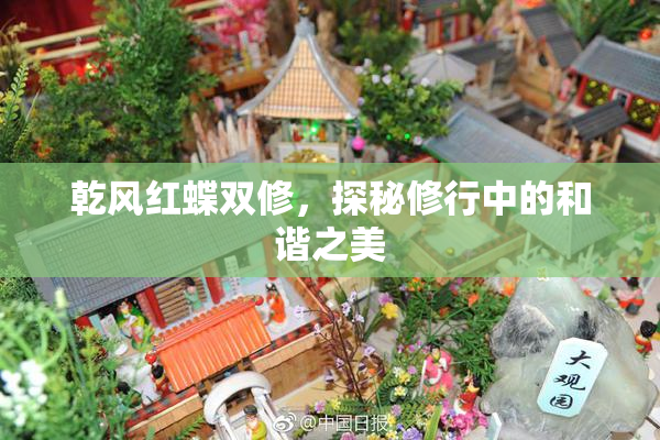 乾风红蝶双修，探秘修行中的和谐之美