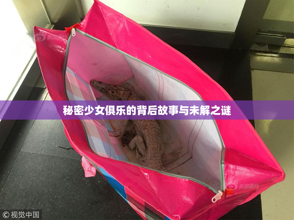 秘密少女俱乐的背后故事与未解之谜