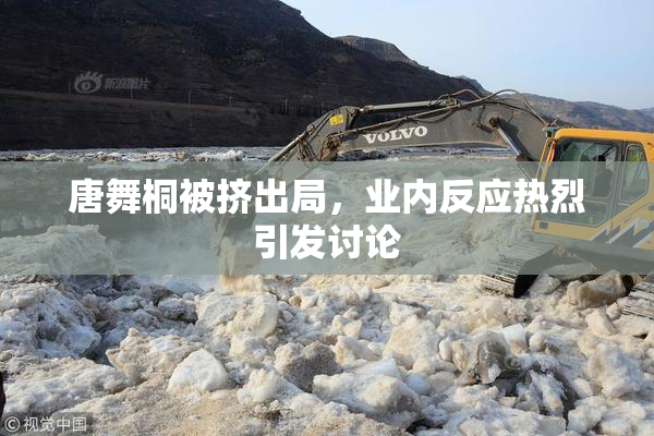 唐舞桐被挤出局，业内反应热烈引发讨论