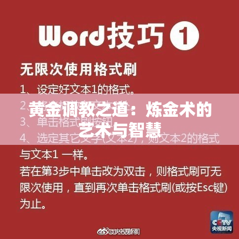 黄金调教之道：炼金术的艺术与智慧