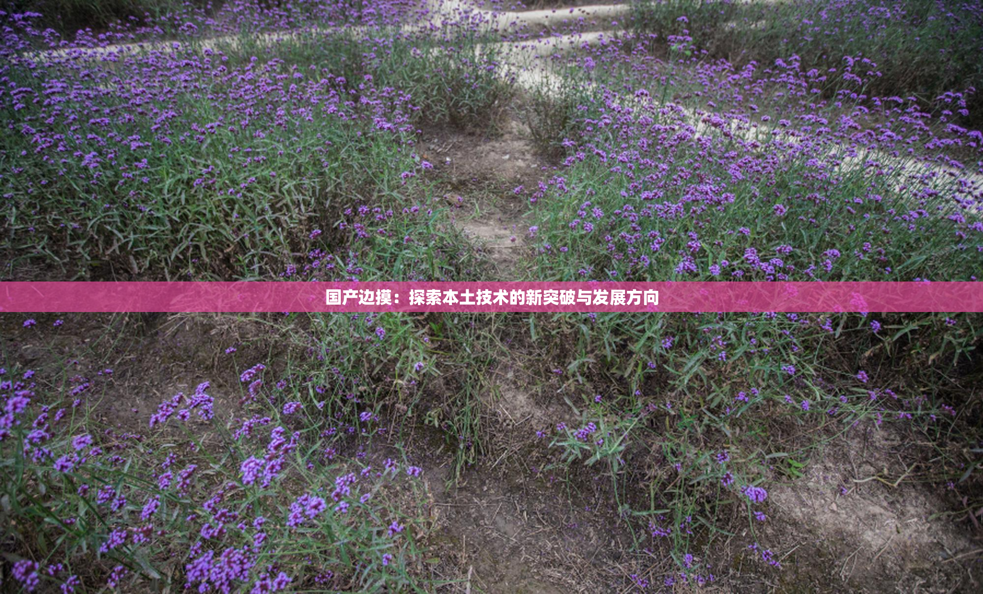 国产边摸：探索本土技术的新突破与发展方向