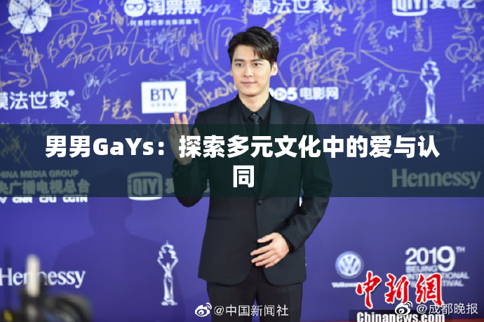 男男GaYs：探索多元文化中的爱与认同